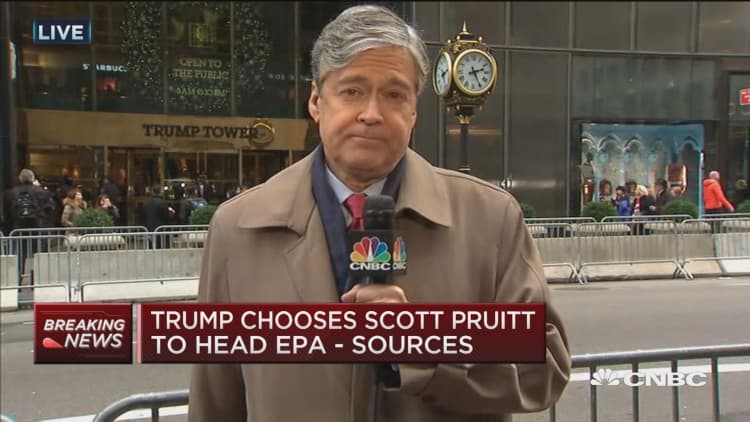Trump chooses Scott Pruitt to head EPA -Sources