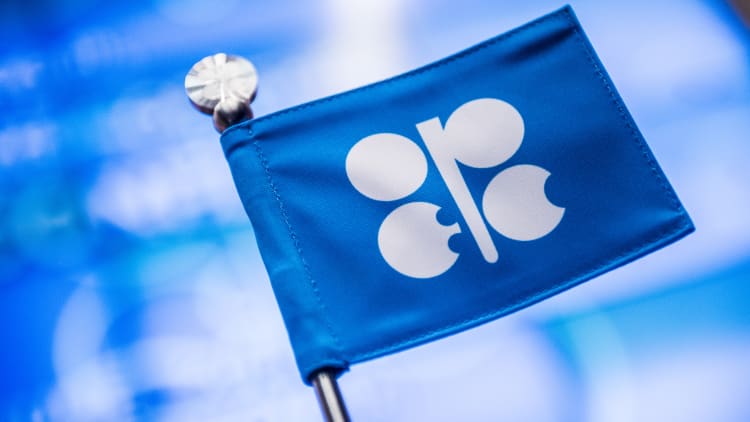 OPEC, high oil prices good in short-term for majors: Pro