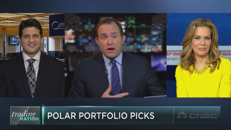 Goldman’s polar portfolio picks