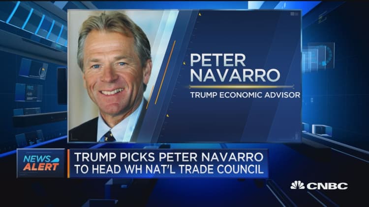Trump picks Peter Navarro to head White House National Trade Council