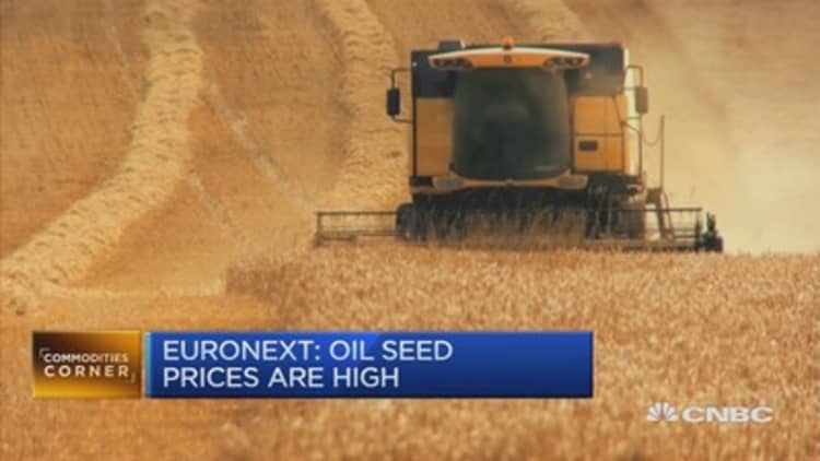 Elevated production weighs on wheat, corn prices: Euronext 