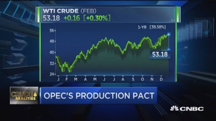 2017 crude oil outlook: Pro