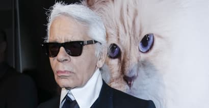 A cat could be set to inherit a fortune after Karl Lagerfeld's death