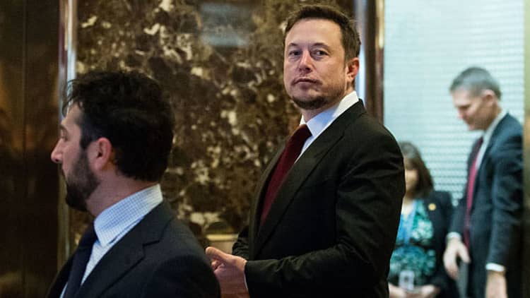Musk and Trump's budding bromance is capturing Wall Street's attention