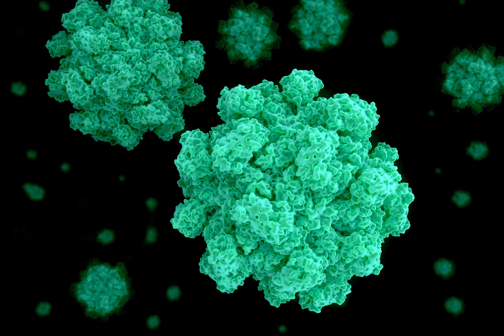 What is norovirus?