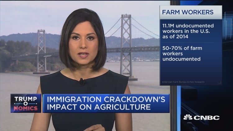 Immigration crackdown's impact on agriculture