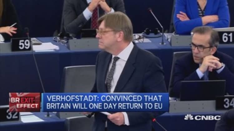 Convinced that Britain will one day return to EU: Verhofstadt