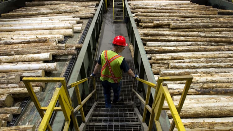 Lumber tariff 'just a papercut' on home construction prices: RBC Capital