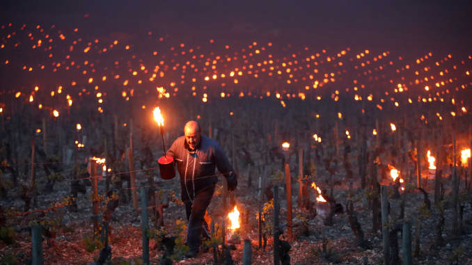In pictures: French farmers use fire to try to save their vineyards