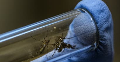 Tech companies wage war on disease-carrying mosquitoes