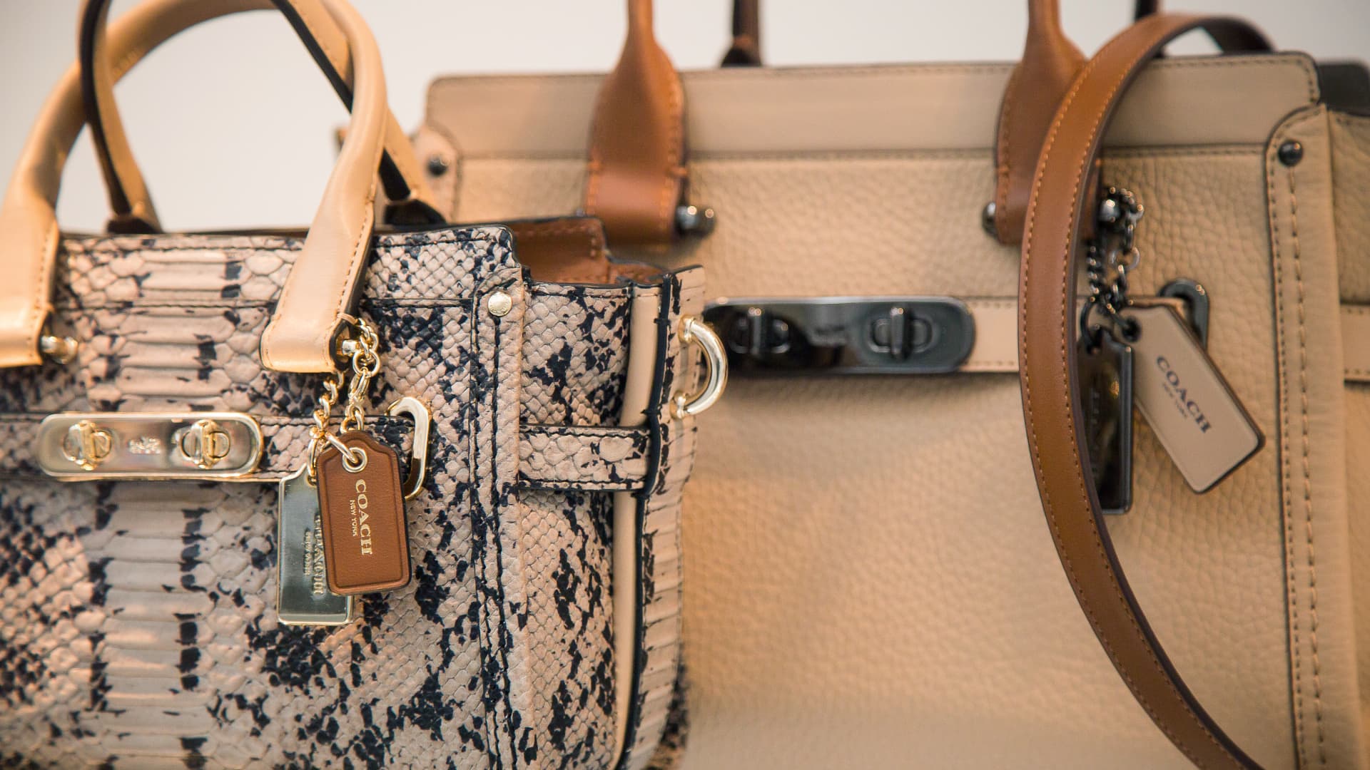 Goldman sees Coach ruling the handbag market after the Kate Spade purchase