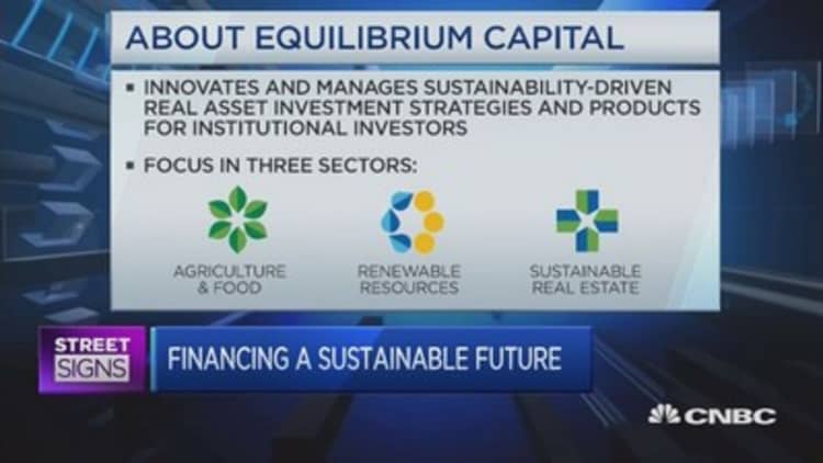 How this fund invests in sustainability