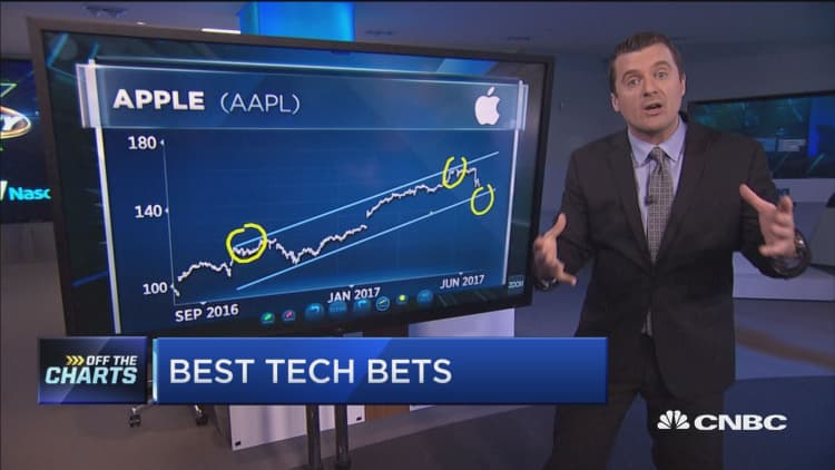 Here's the best names to buy in the tech wreck: Technician