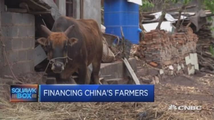 Pandai takes P2P lending to China's farmers 