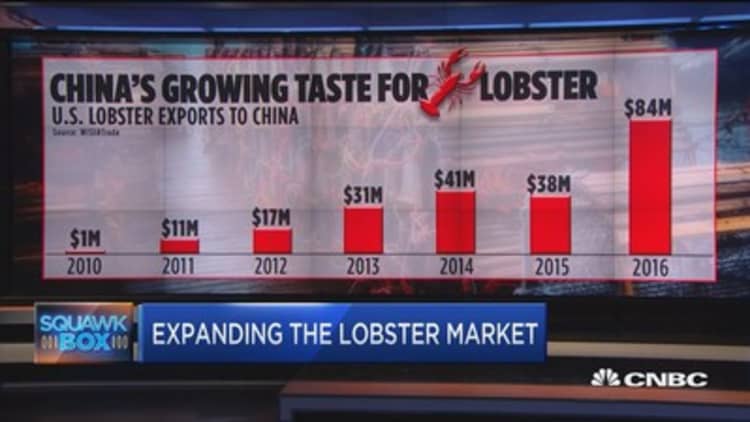 Lobster overload sends industry scouting for global consumers