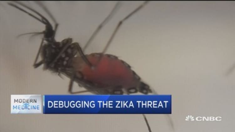 Google working to debug the Zika threat