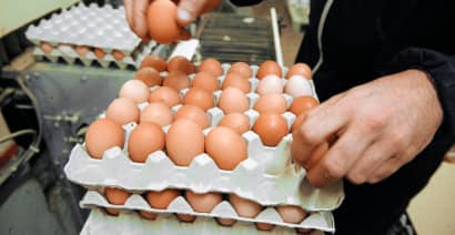 US recalls more than 200 million eggs over salmonella fears