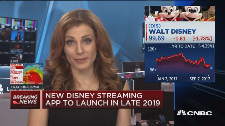 New Disney streaming app to launch in late 2019