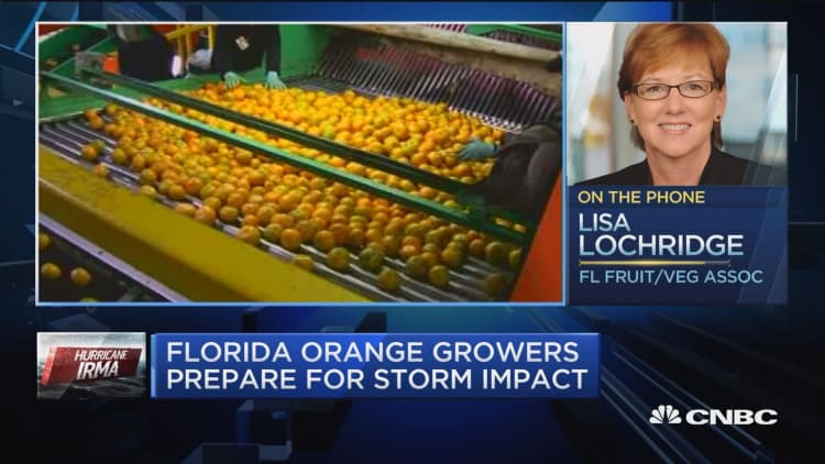 Florida Fruit and Vegetable Association: The entire industry could be at risk