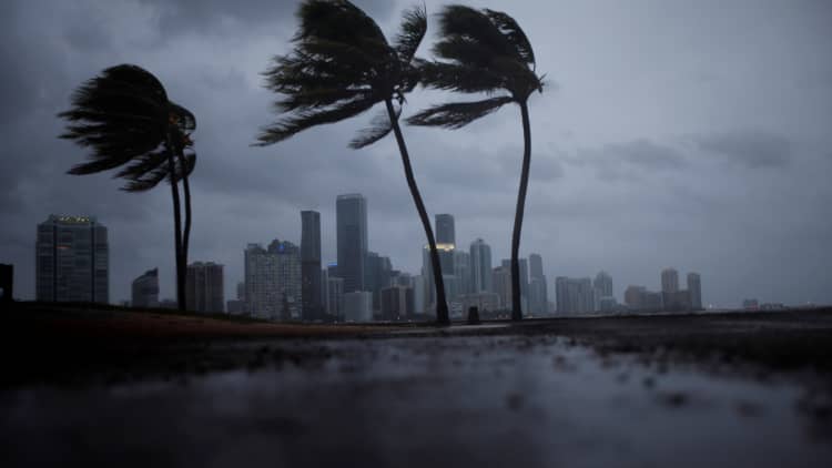 Hurricane Irma makes landfall in south Florida