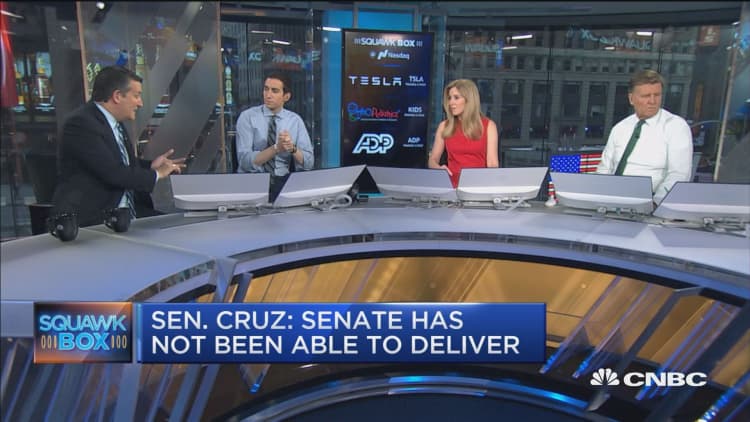 Sen. Ted Cruz on tax cuts: We should be going 'bigger and bolder'