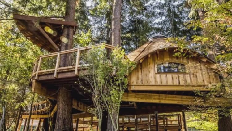 Microsoft built treehouse workspaces for its employees