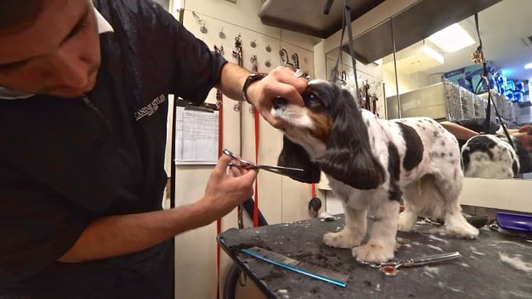 Pamper your pooch at this NYC luxury boutique for dogs