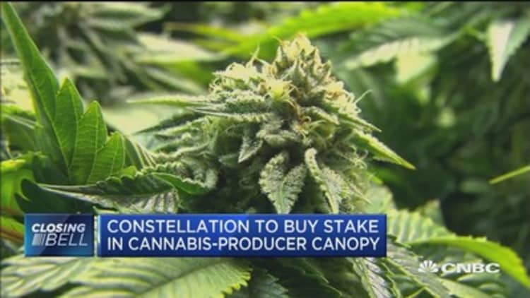 Constellation to buy stake in cannabis-producer Canopy