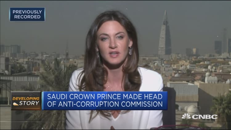 Saudi Arabia's economic reform plans are behind anti-corruption crackdown: Gamble