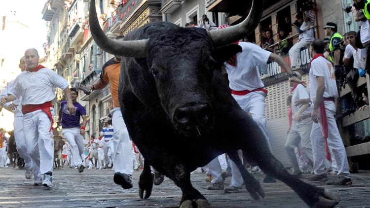 Bulls are betting this market will be the greatest of all time