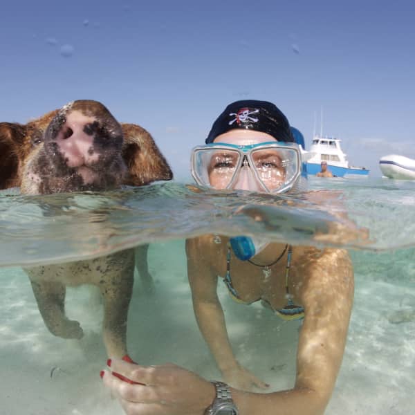 You can swim with pigs in the Bahamas—and it's so worth the trip