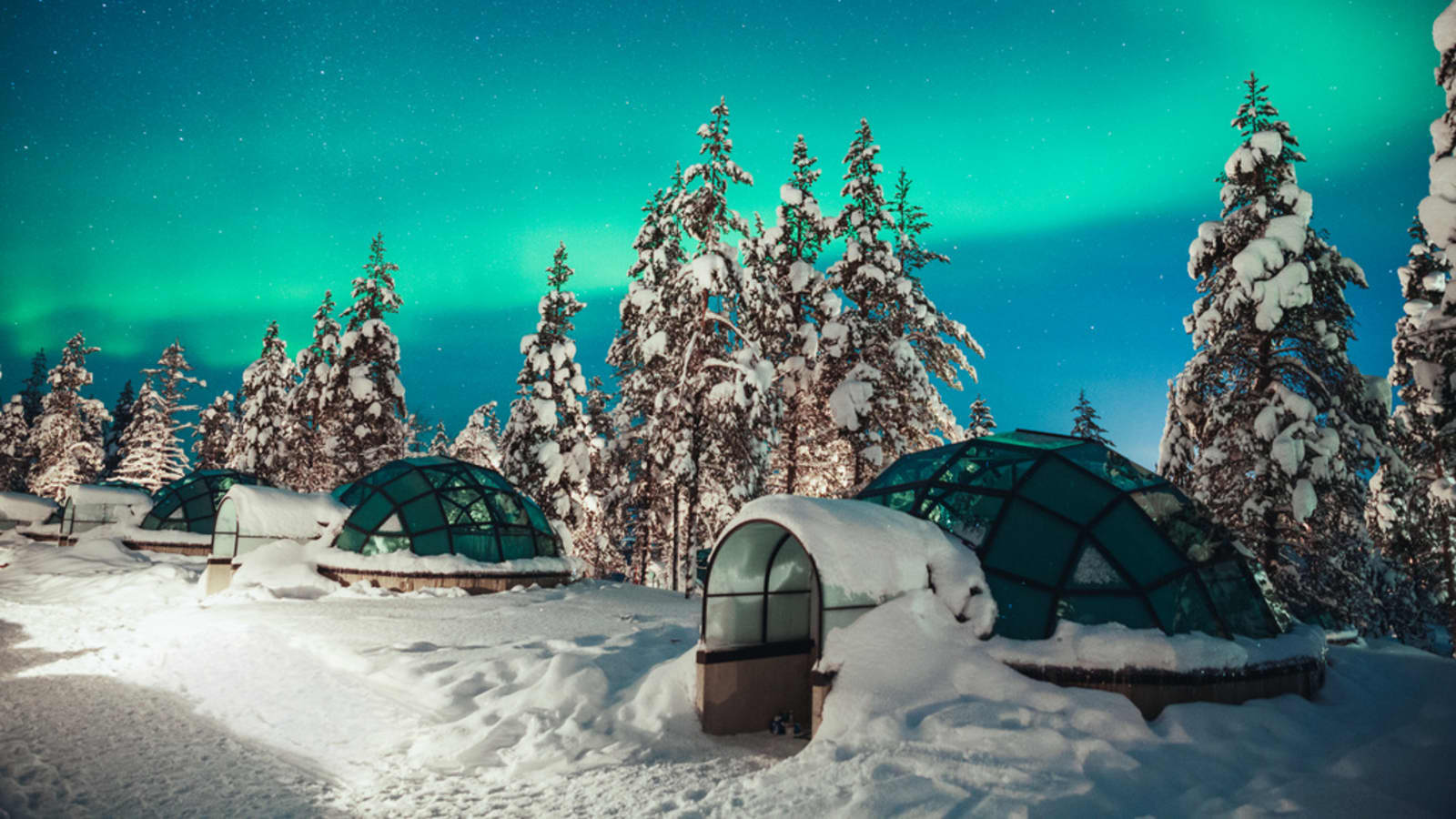 Glat Forudsige Ud over See the Northern Lights from a glass igloo at Kakslauttanen in Finland