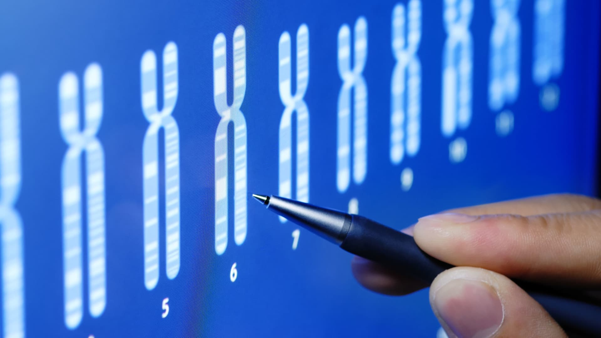 A human genome has finally, fully been decoded