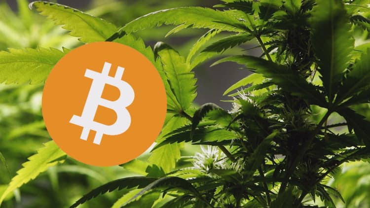 Bitcoin offers the cannabis industry an alternative to banks