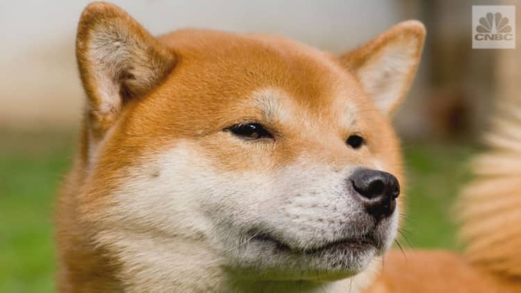 Dogecoin was created as a parody, now it's worth more than $1 billion