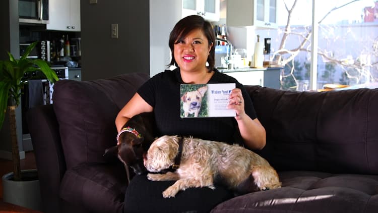This DNA test lets you see the genetic makeup of your mutt
