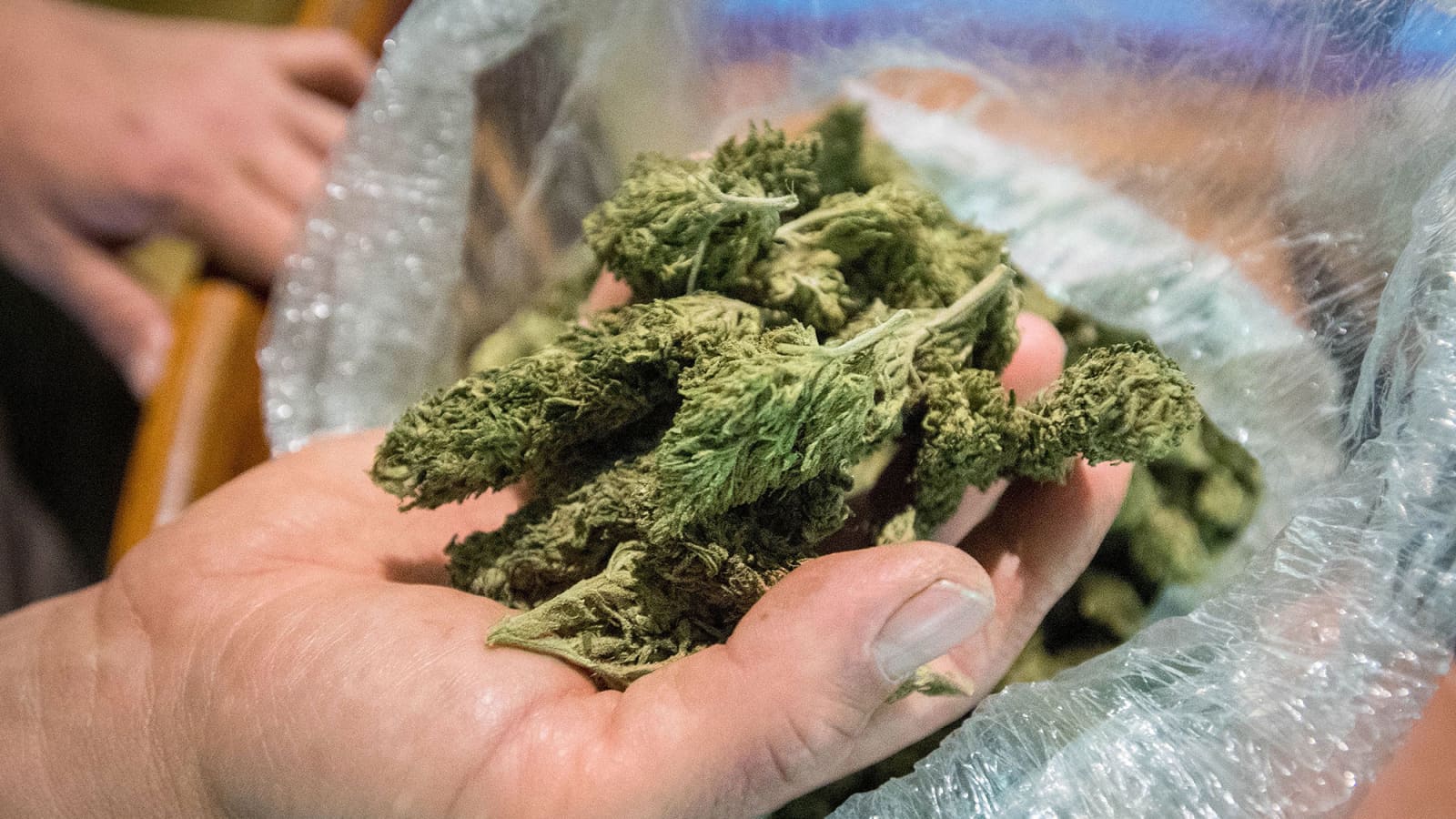 The San Francisco DA will dismiss thousands of marijuana-related convictions
