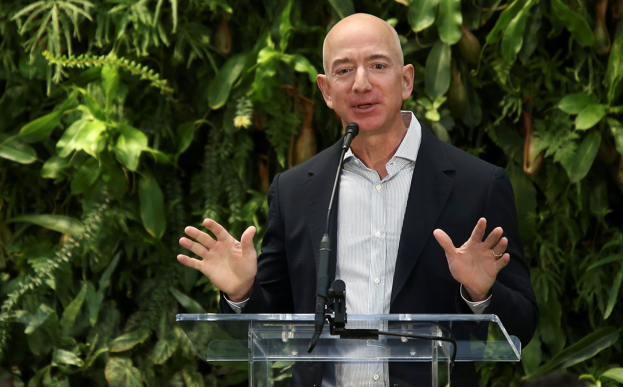 Amazon invests $10 million to help conserve forests as part of climate change plan - CNBC
