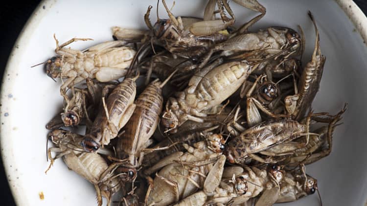 One of tech's most iconic CEOs wants us all to eat crickets