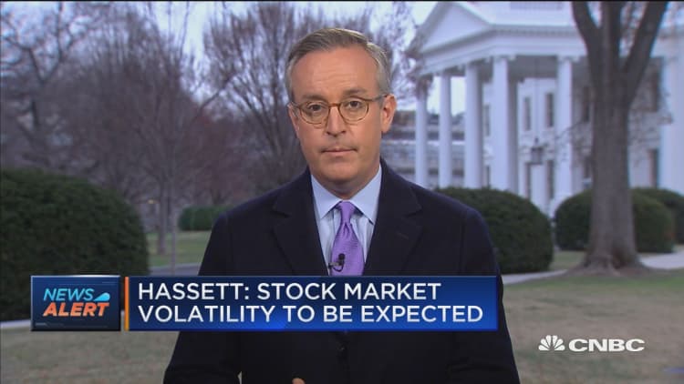 CEA Chair Hassett: Stock market volatility to be expected