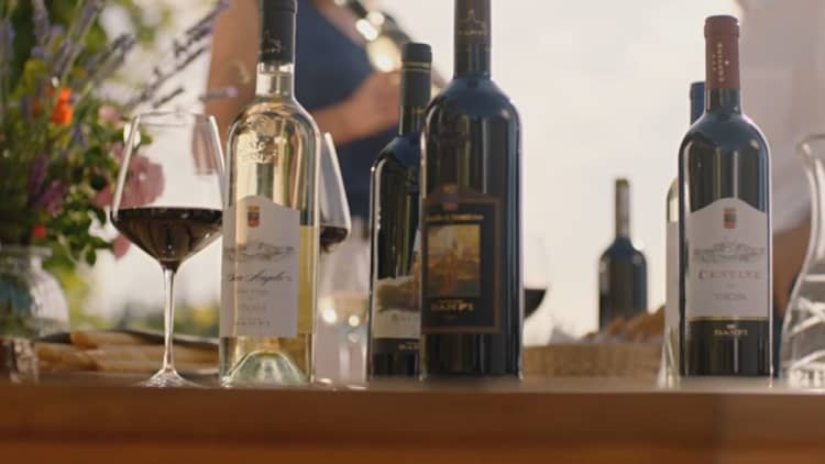 Banfi Vintners innovates wine industry after nearly 100 years