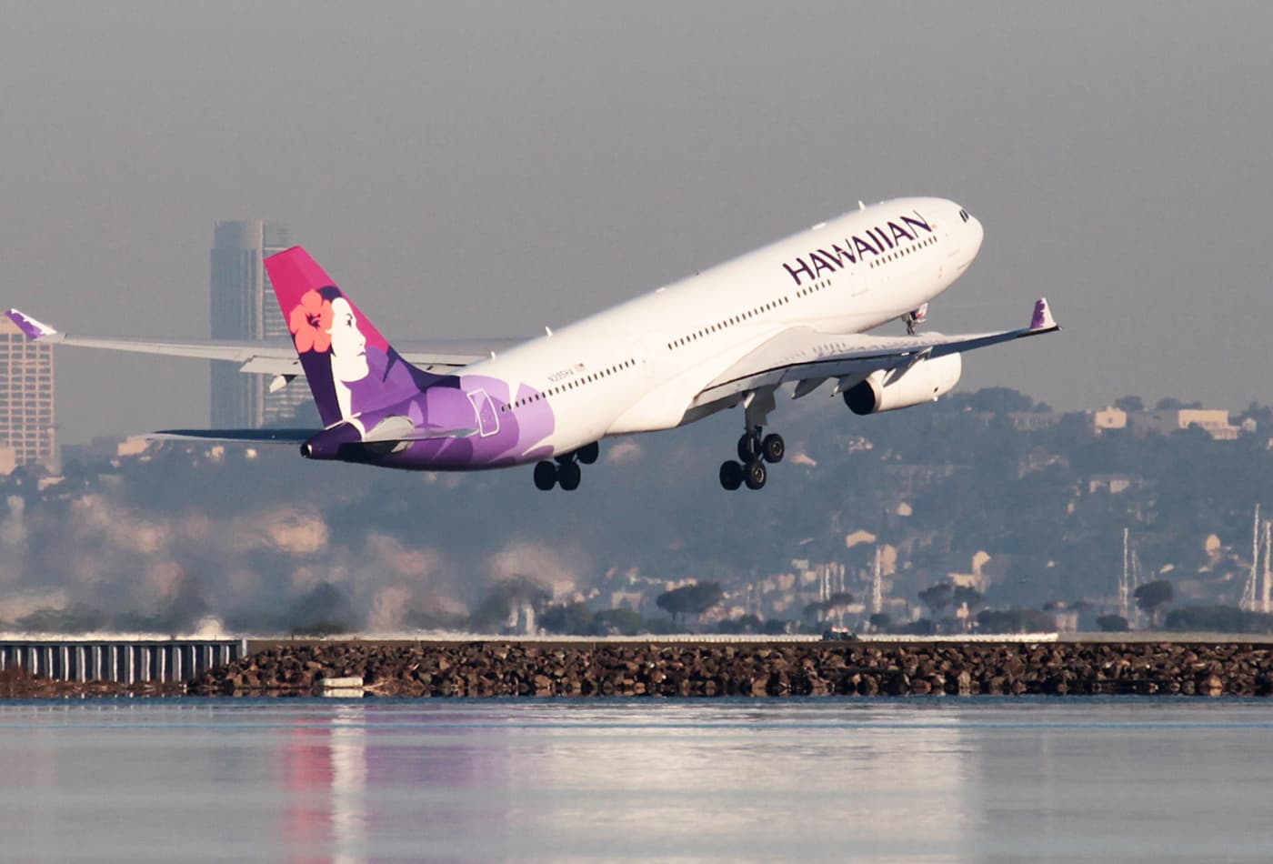 Hawaiian airlines flight status by route