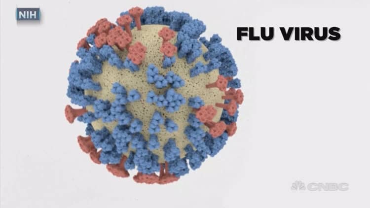 The quest to develop a universal flu vaccine