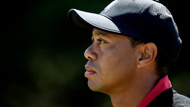 New biography out on the rise and fall of Tiger Woods