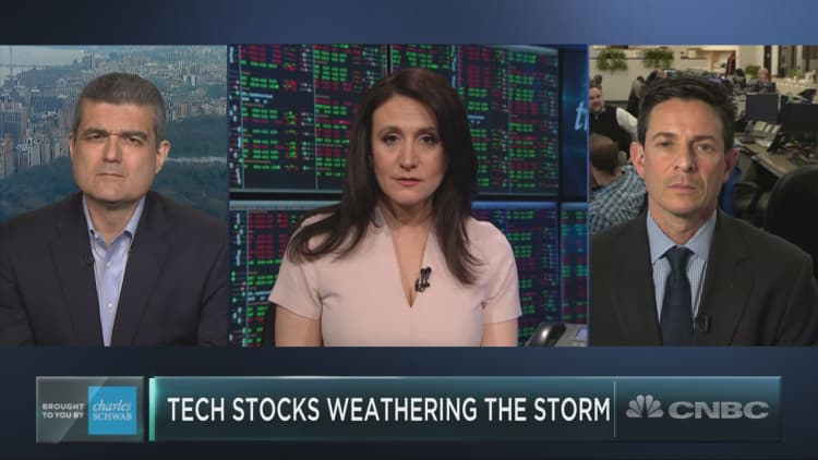 As tech stocks get pummeled, a few names are staying afloat