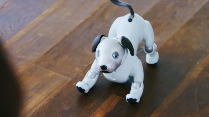 Sony's new robot dog Aibo barks, does tricks and charms animal lovers