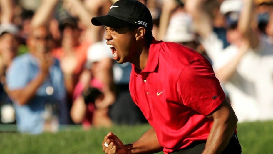 Highest-paid golfer Tiger Woods reportedly earned $43.3 million in 2017