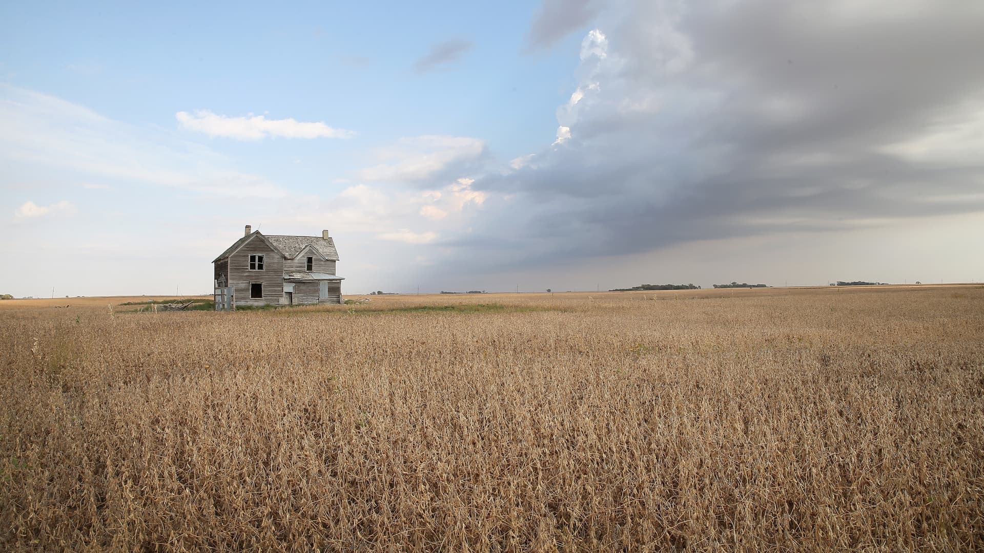 A soybean field near Salem, South Dakota.