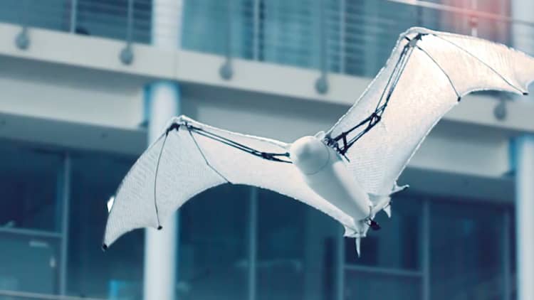 Germany's Festo is using robotic animals to improve manufacturing