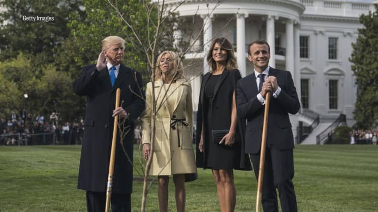 Tree planted by Trump and France's Macron mysteriously disappears